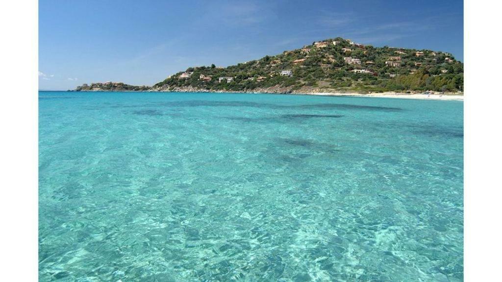 Holiday home Camelia Torre delle Stelle